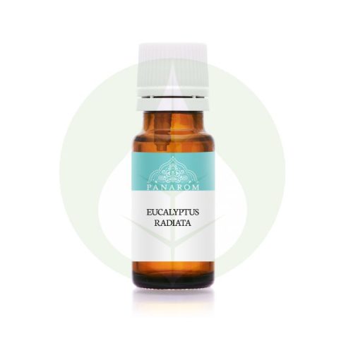 Eukaliptusz radiata - Eucalyptus radiata illóolaj - 10ml - Panarom
