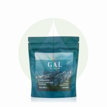   Multivitamin - C-vitamin utántöltő - 500mg-C - 90adag - GAL