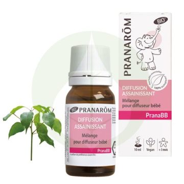   PranaBB - Légfertőtlenítő illóolaj keverék párologtatóba - Bio - 10ml - Pranarom
